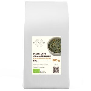 PESTKI DYNI CIEMNOZIELONE (UPRAWIANE W EUROPIE) BIO 500 g - THE PLANET