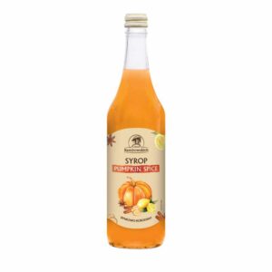 SYROP DYNIOWO - KORZENNY 500 ml - REMBOWSCY